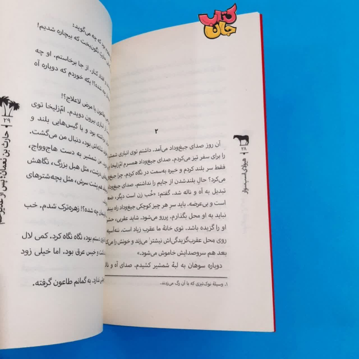 تصاویر داخل کتاب 
