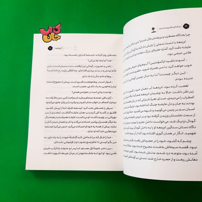 تصویر داخل کتاب 