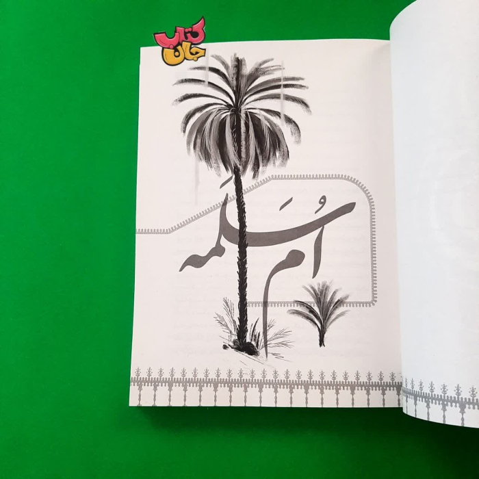 تصویر داخل کتاب 