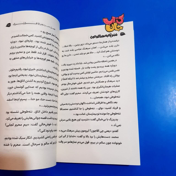 تصاویر داخل کتاب 