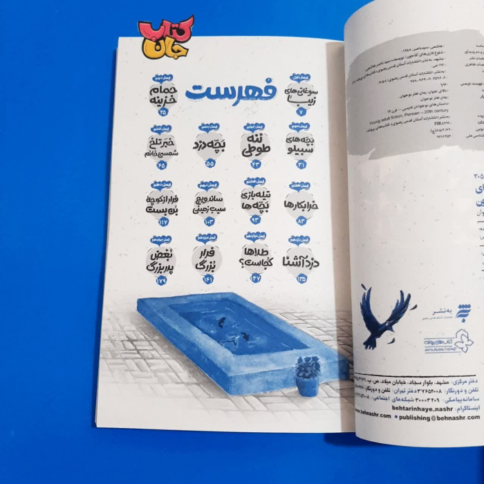 تصویر داخل کتاب 