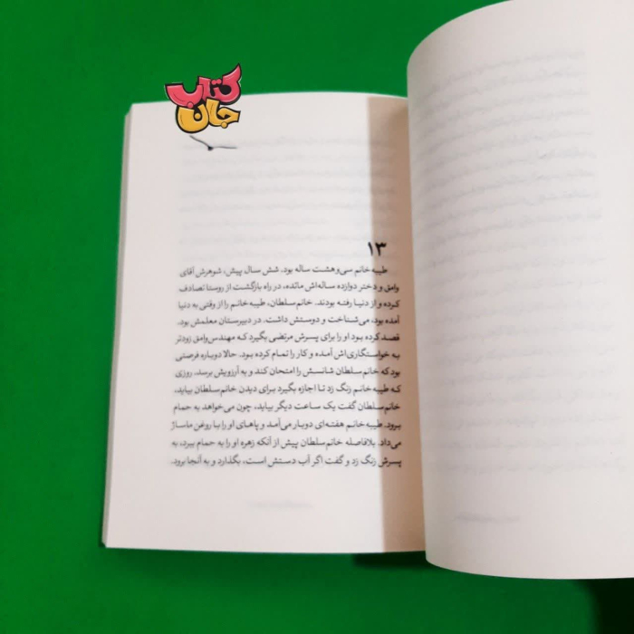 تصویر داخل کتاب 