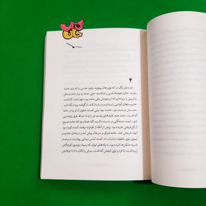 تصویر داخل کتاب 