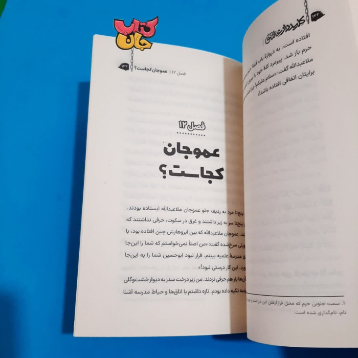 تصویر داخل کتاب 