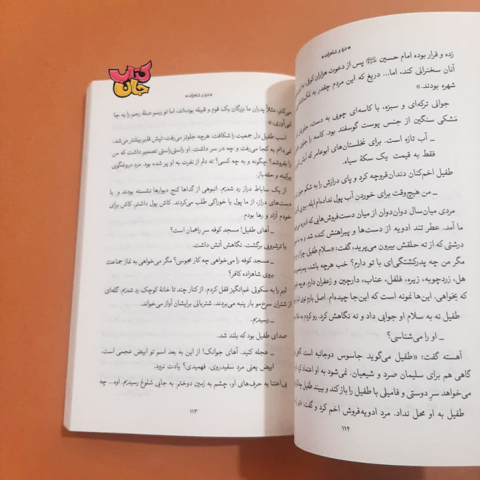 تصویر داخل کتاب 
