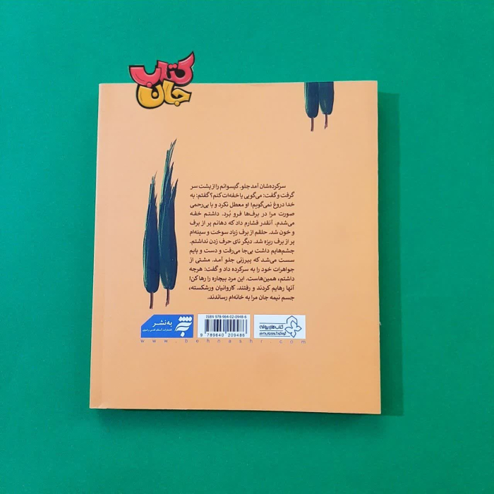 تصویر پشت جلد کتاب 