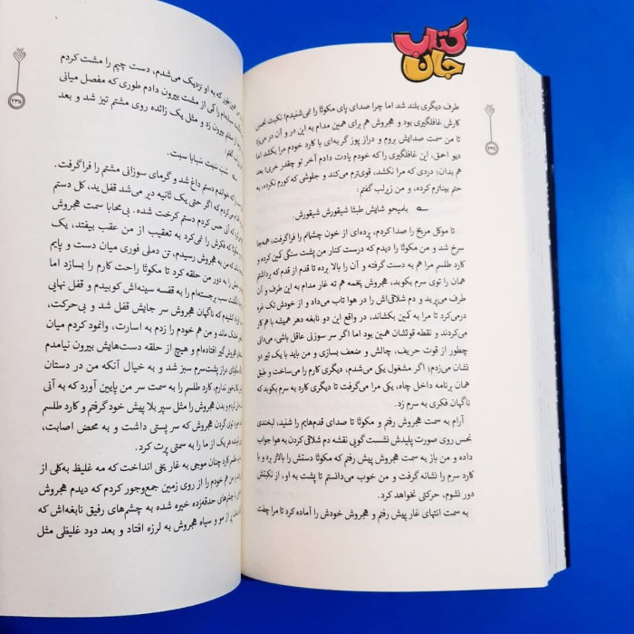تصویر داخل کتاب 