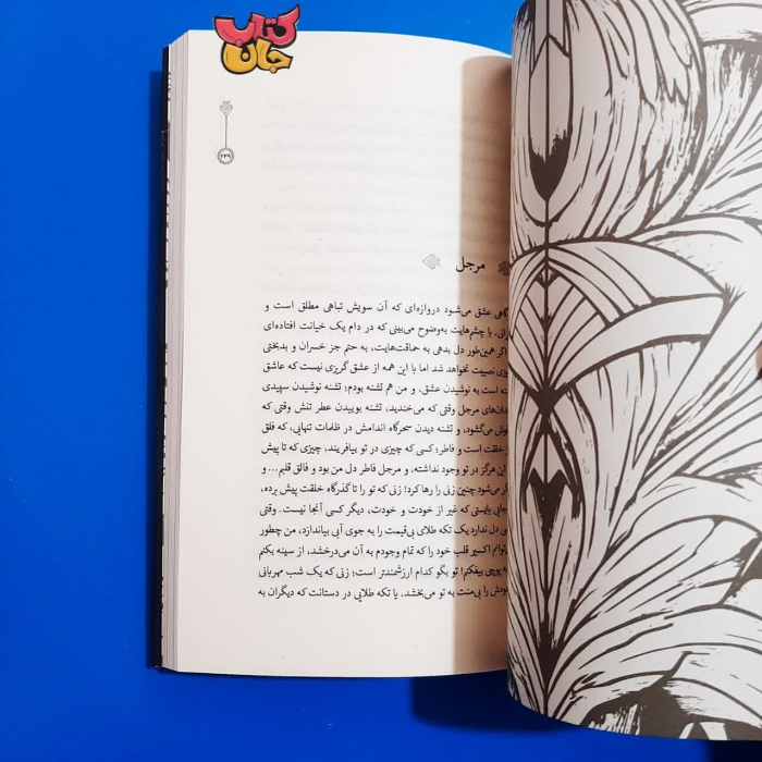 تصاویر داخل کتاب 