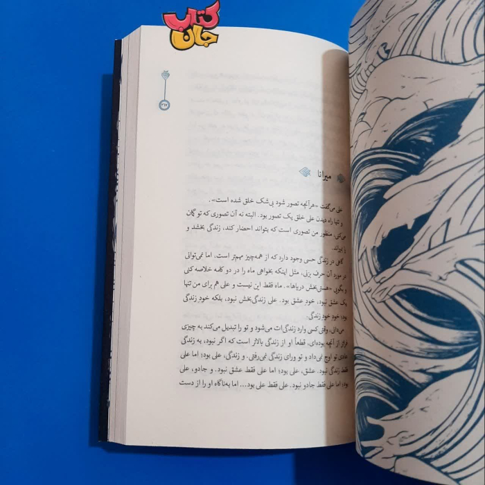تصویر داخل کتاب 