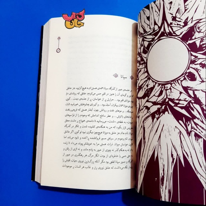 تصویر داخل کتاب 