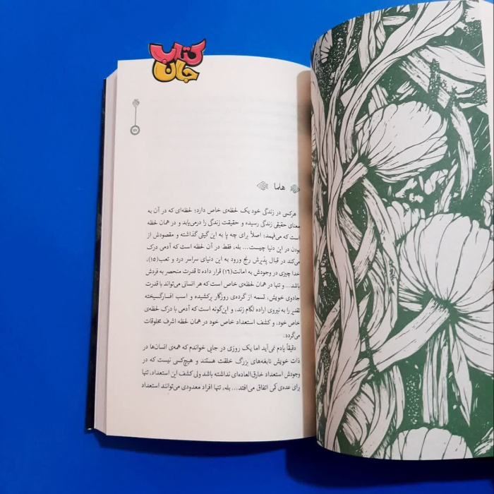 تصویر داخل کتاب 
