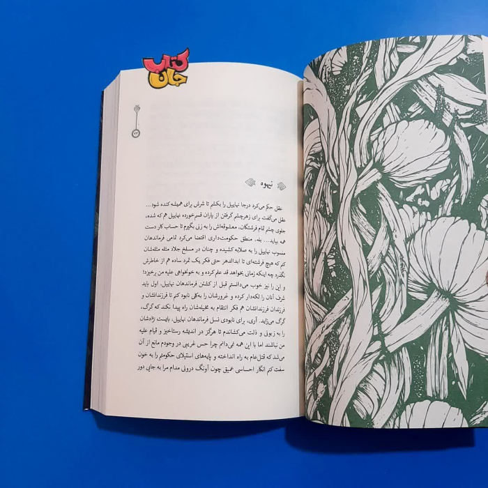 تصاویر داخل کتاب 