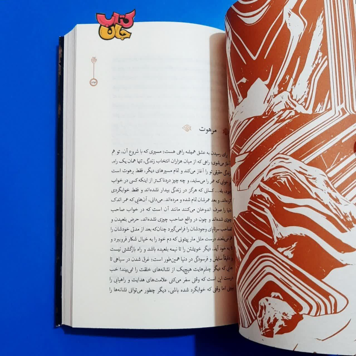 تصویر داخل کتاب 
