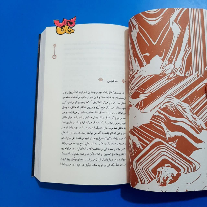 تصویر داخل کتاب 