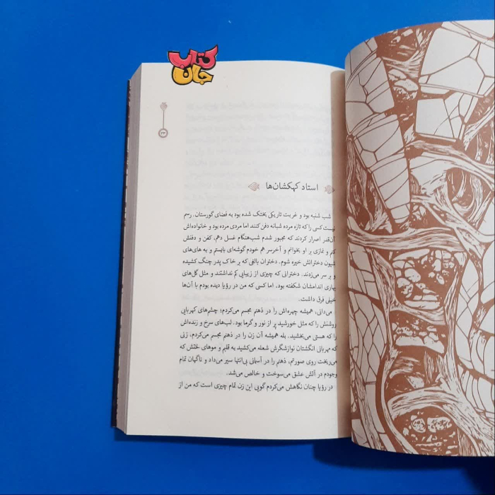 تصویر داخل کتاب 