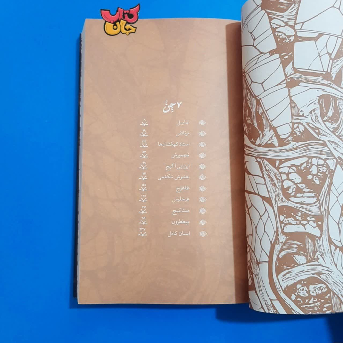 تصویر داخل کتاب 