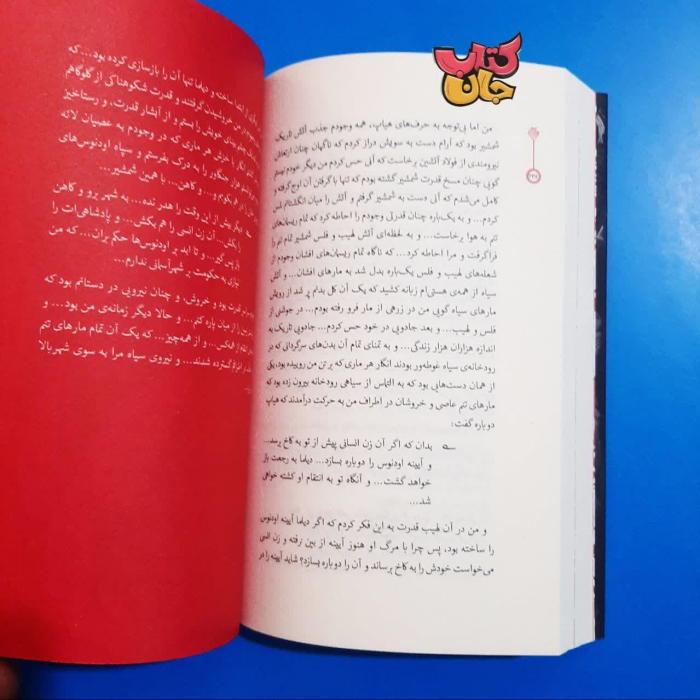 تصویر داخل کتاب 