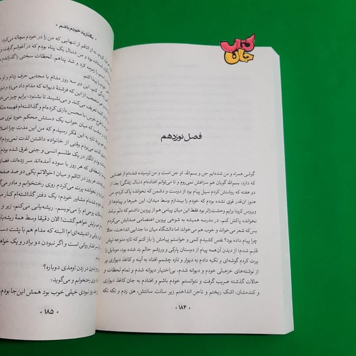 تصاویر داخل کتاب 