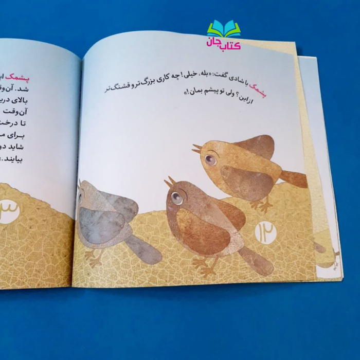 تصاویری ازداخل کتاب 