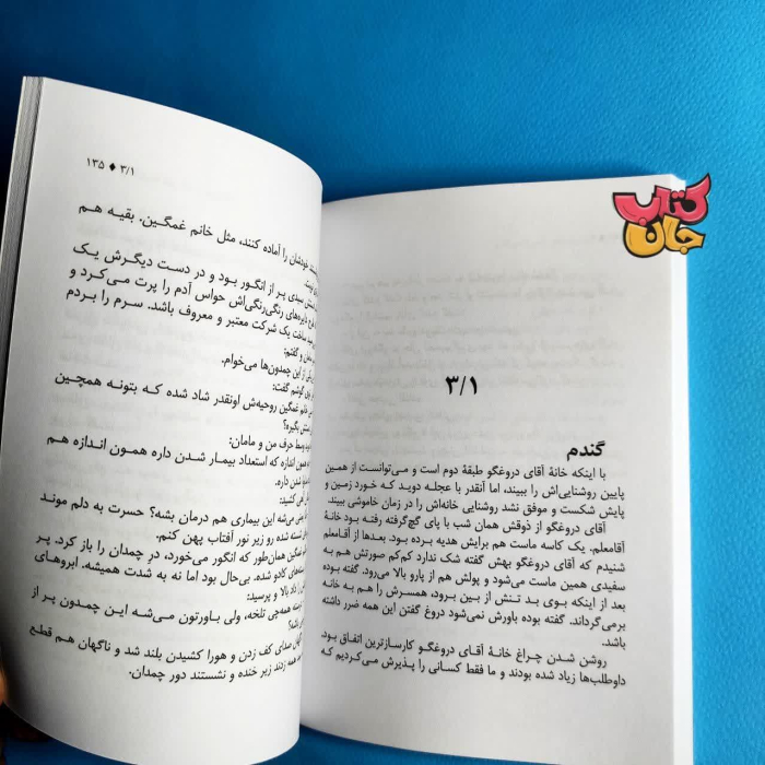 تصاویر داخل کتاب 