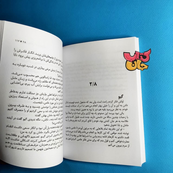 تصاویر داخل کتاب 