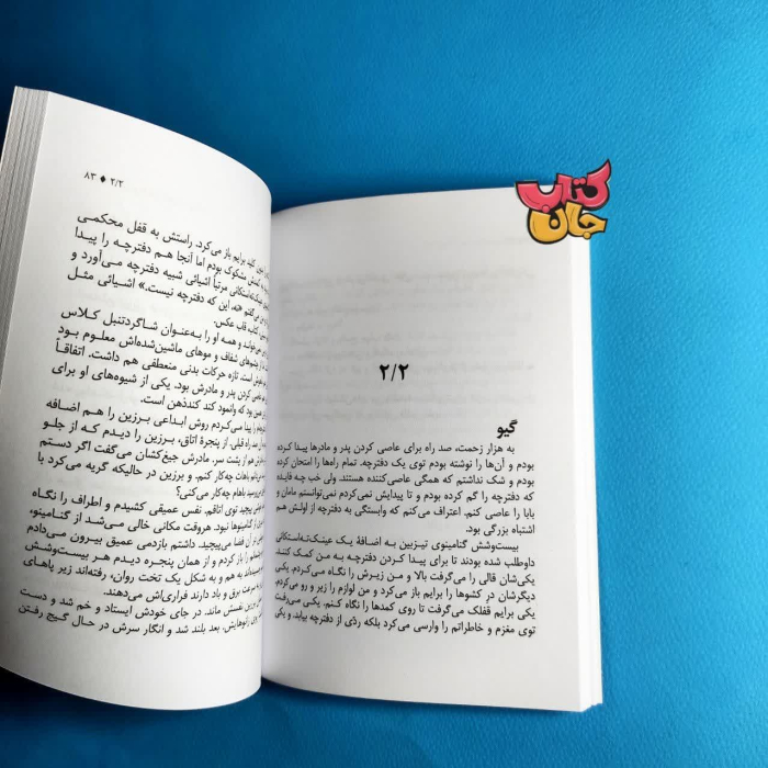 تصویر داخل کتاب 