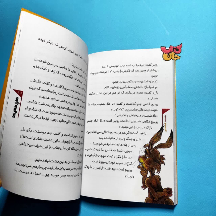 تصویر داخل کتاب 
