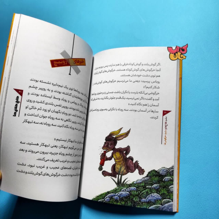 تصاویر داخل کتاب 