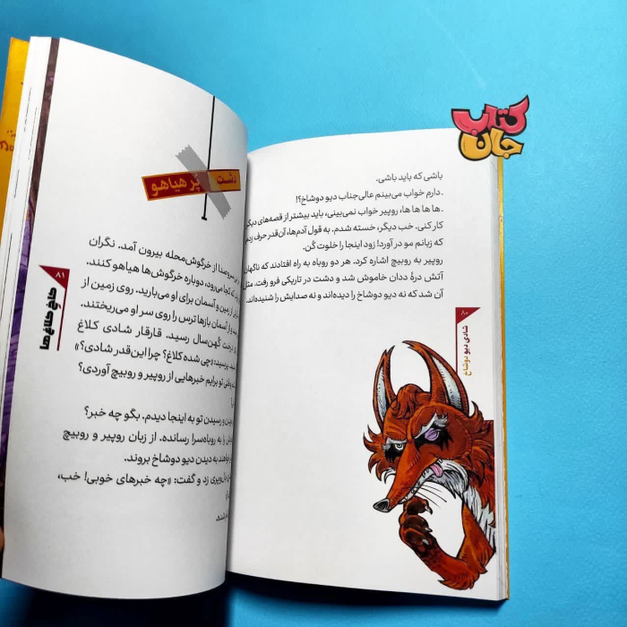 تصاویر داخل کتاب 