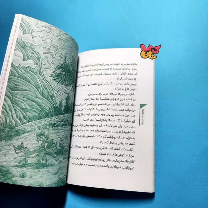 تصاویر داخل کتاب 