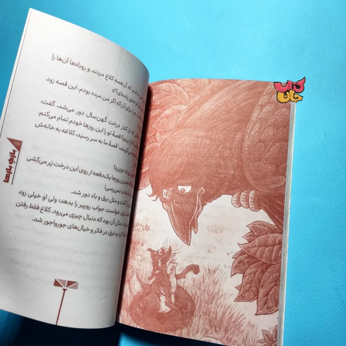 تصویر داخل کتاب 