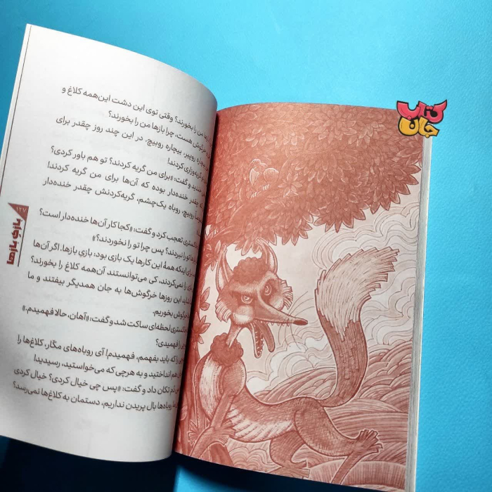 تصاویر داخل کتاب 