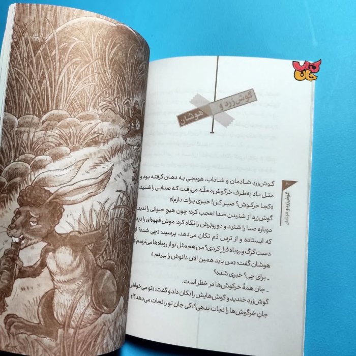 تصویر داخل کتاب 