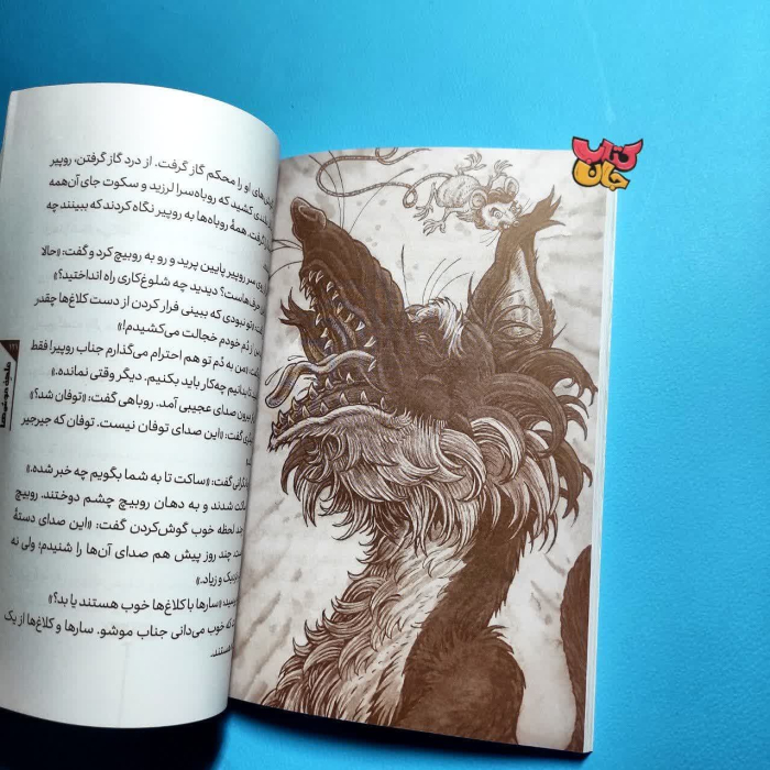 تصاویر داخل کتاب 