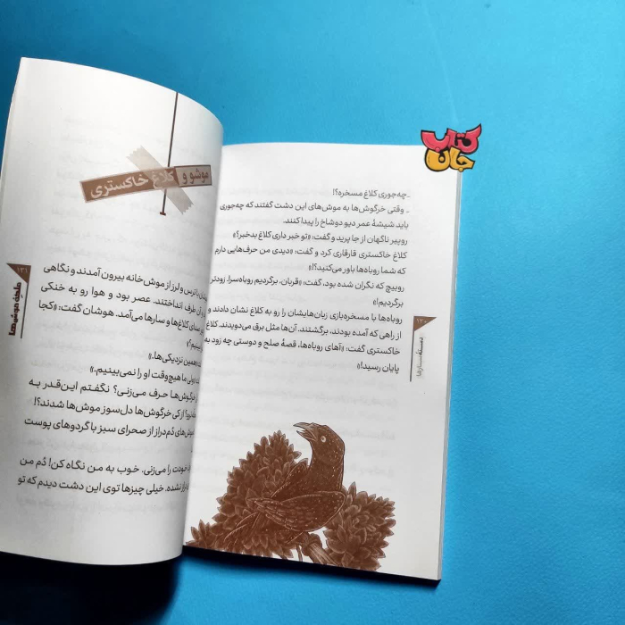 تصاویر داخل کتاب 