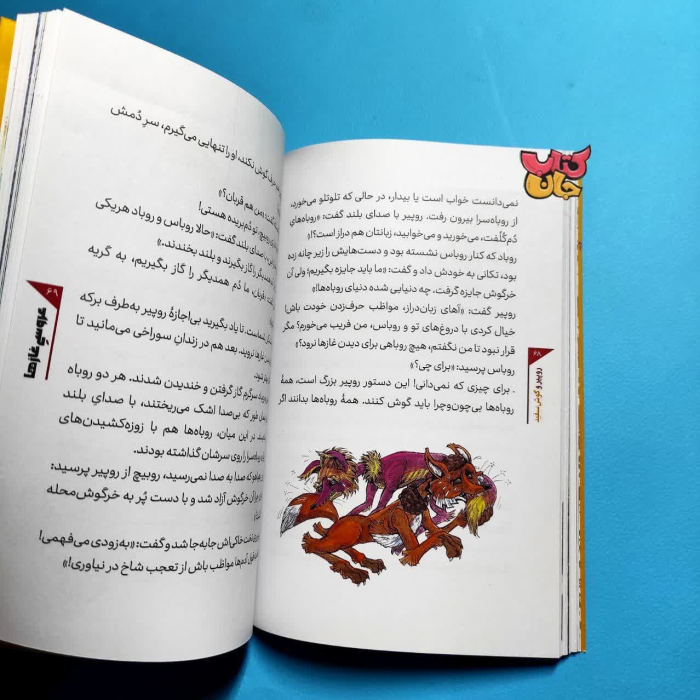 تصویر داخل کتاب 