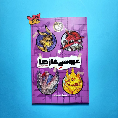 کتاب ماجرای دشت مرموز (عروسی غازها)