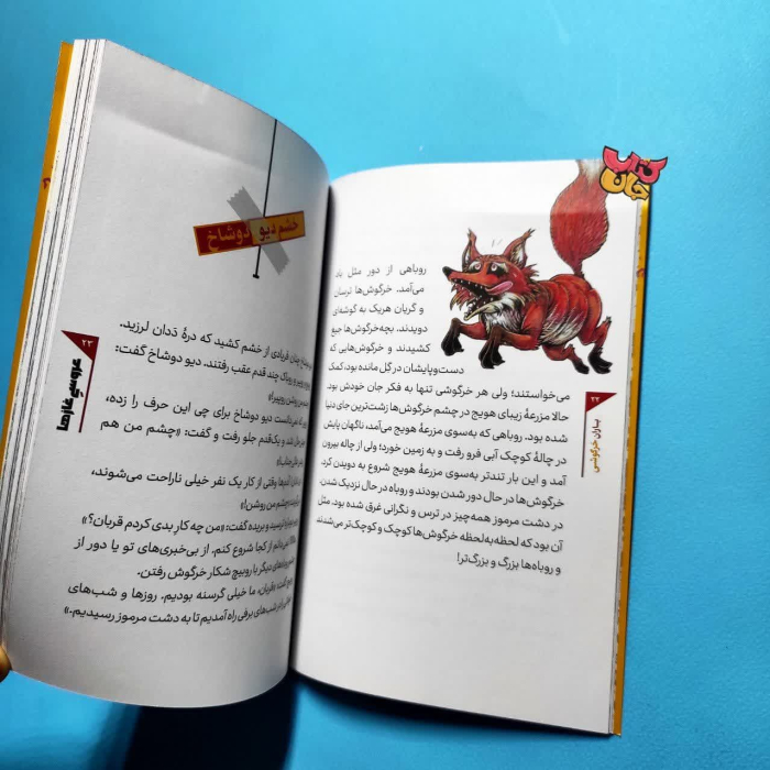 تصاویر داخل کتاب 