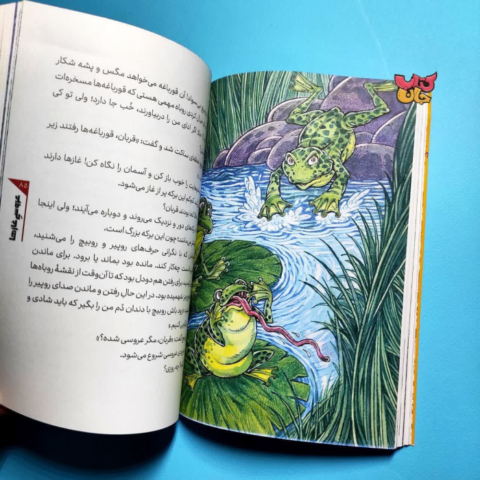 تصاویر داخل کتاب 