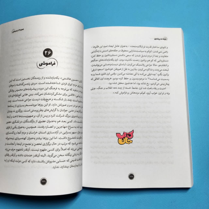 تصاویر داخل کتاب 