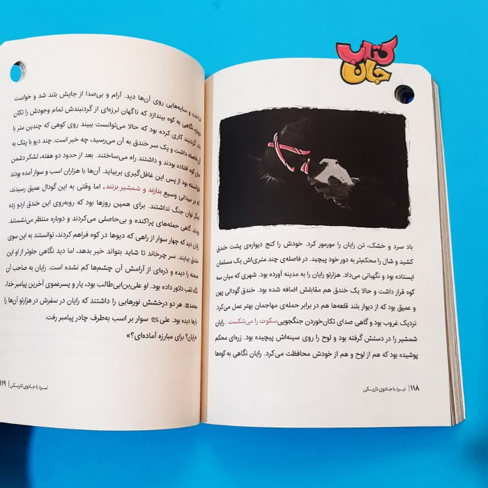 تصویر داخل کتاب 