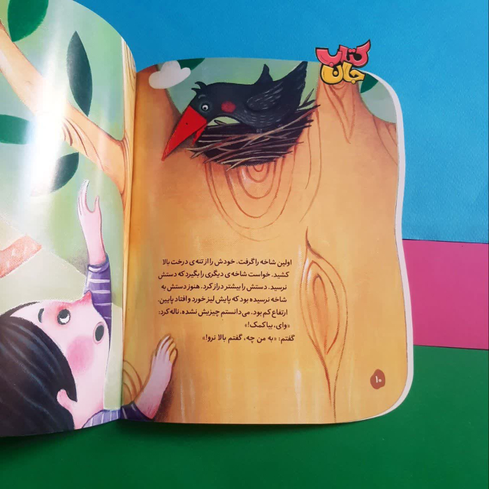 تصاویر داخل کتاب 