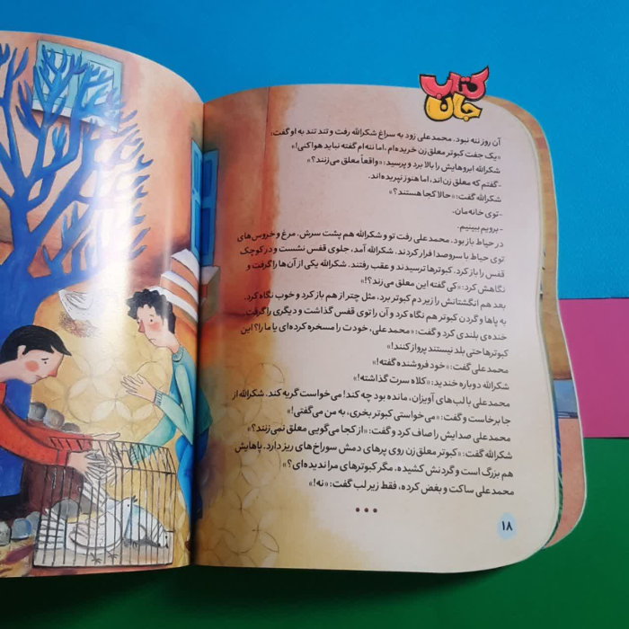 تصویر داخل کتاب 