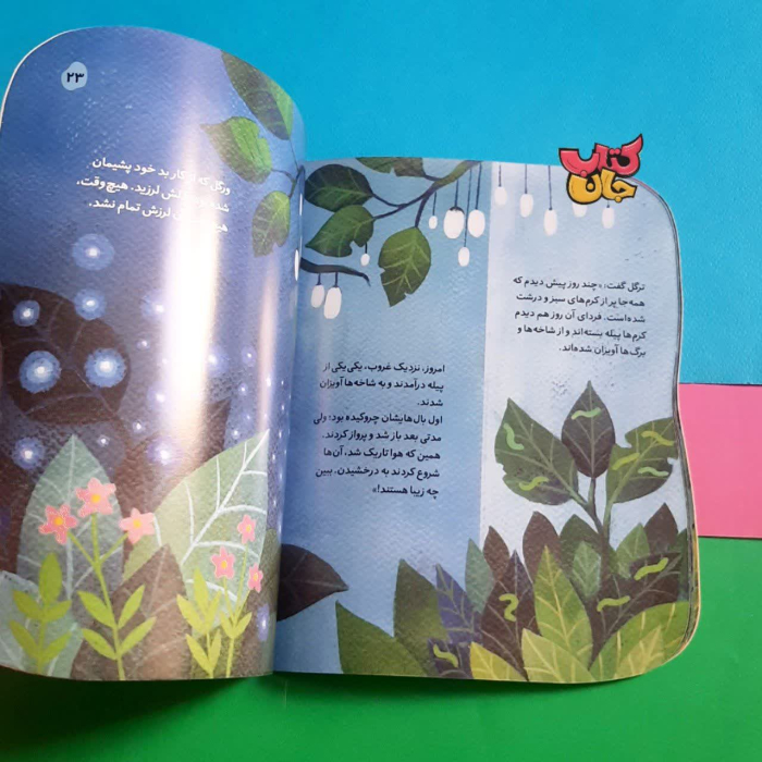 تصاویر داخل کتاب 