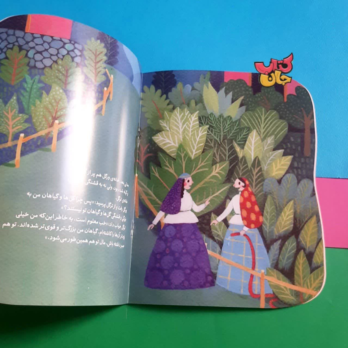 تصویر داخل کتاب 