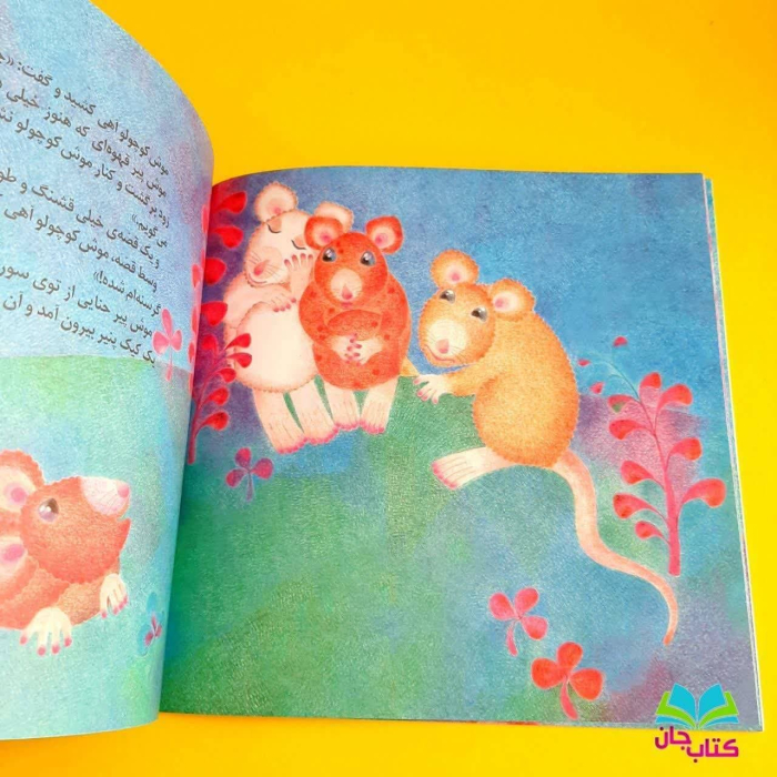 تصاویر داخل کتاب 