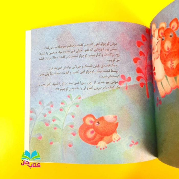تصاویری ازمتن داخل کتاب 