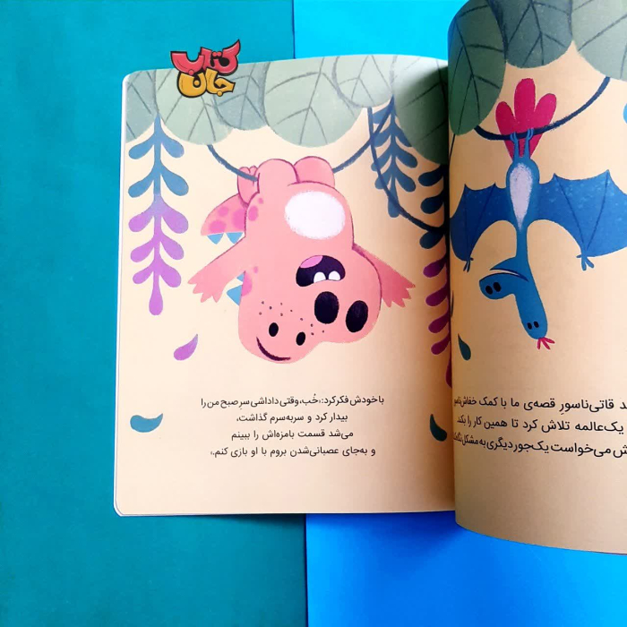 تصاویر داخل کتاب 