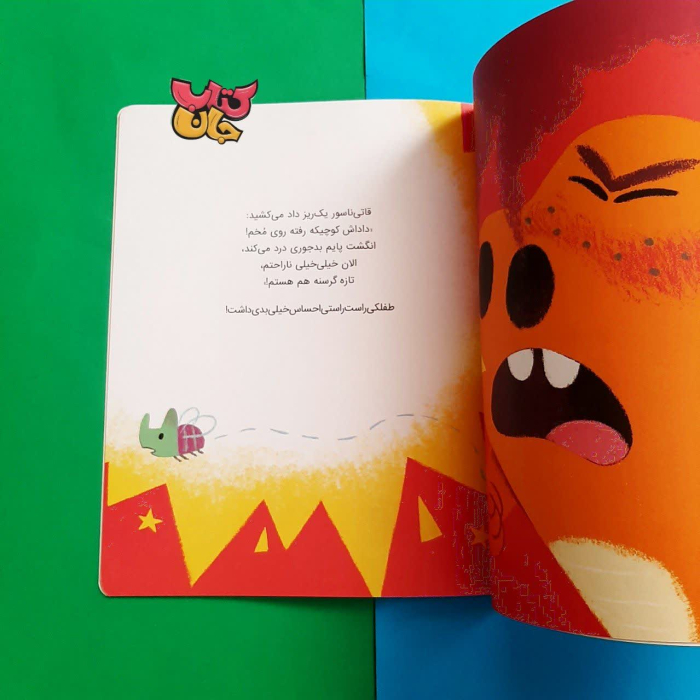 تصویر داخل کتاب 