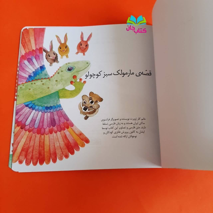 تصاویر داخل کتاب 